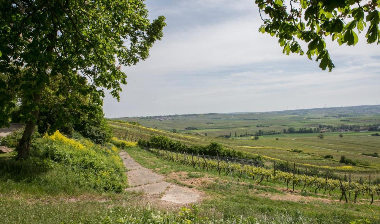 Hofgut Wissberg - Das Weinberghotel 圣约翰 外观 照片