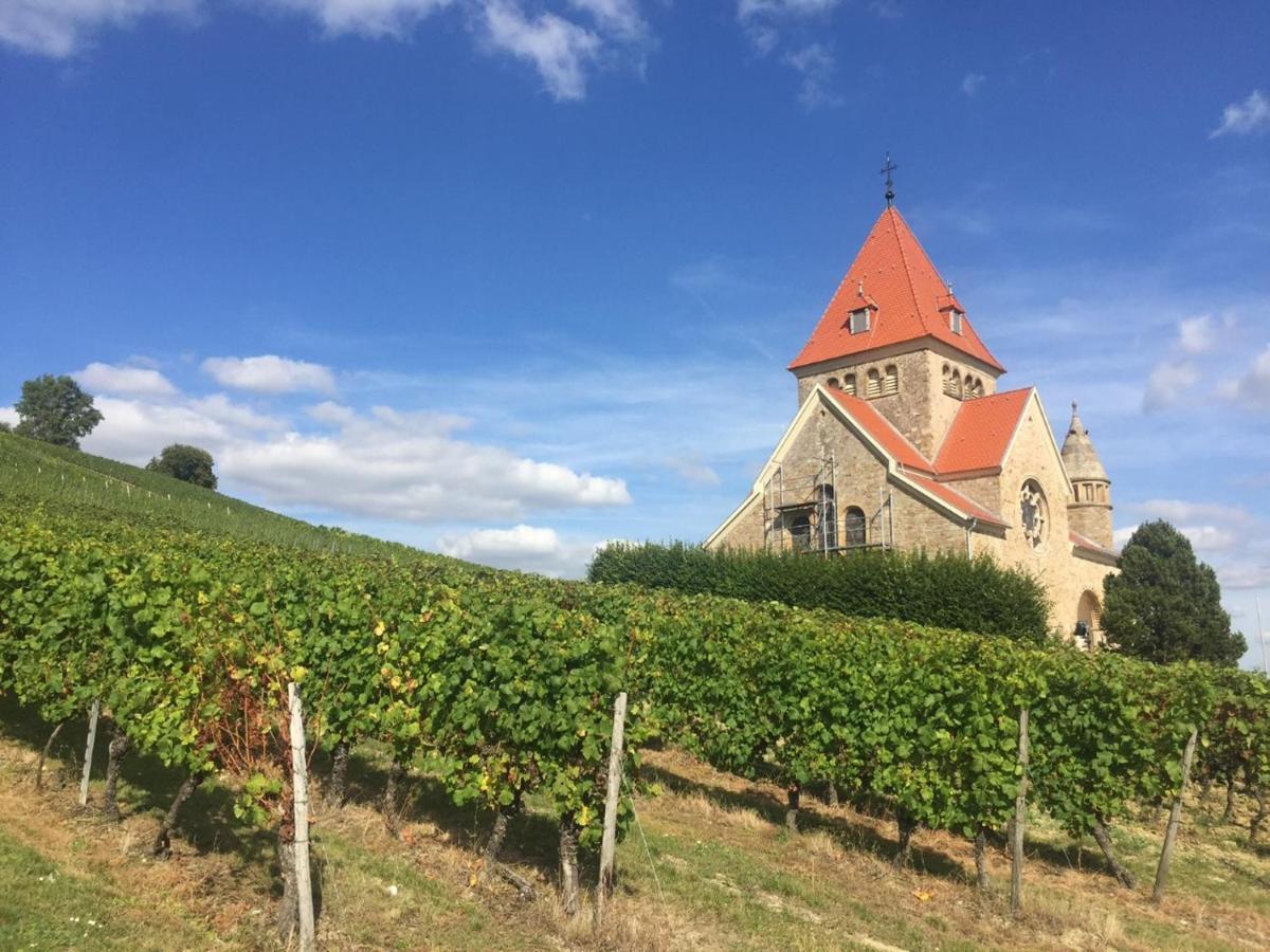 Hofgut Wissberg - Das Weinberghotel 圣约翰 外观 照片