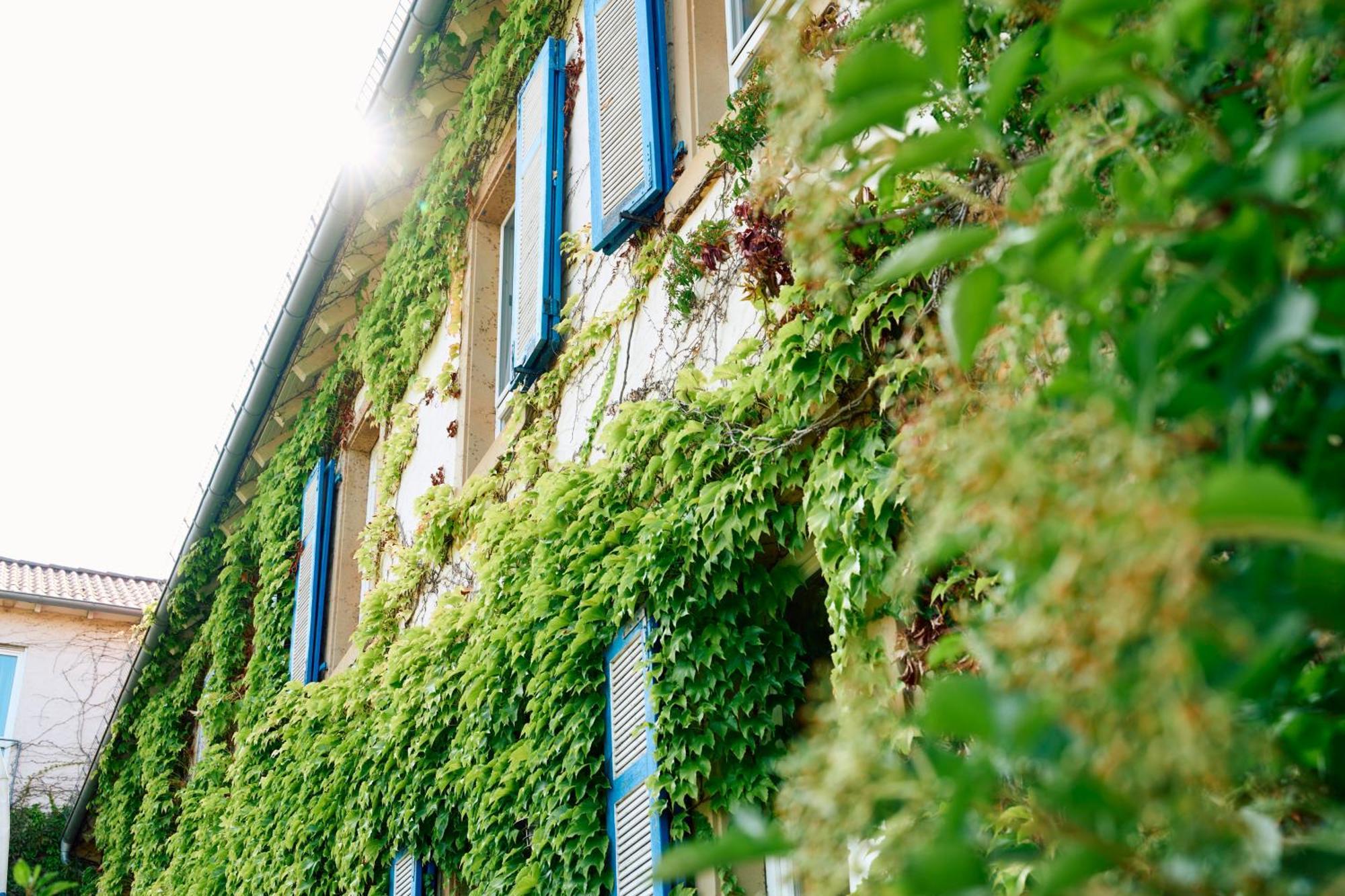 Hofgut Wissberg - Das Weinberghotel 圣约翰 外观 照片