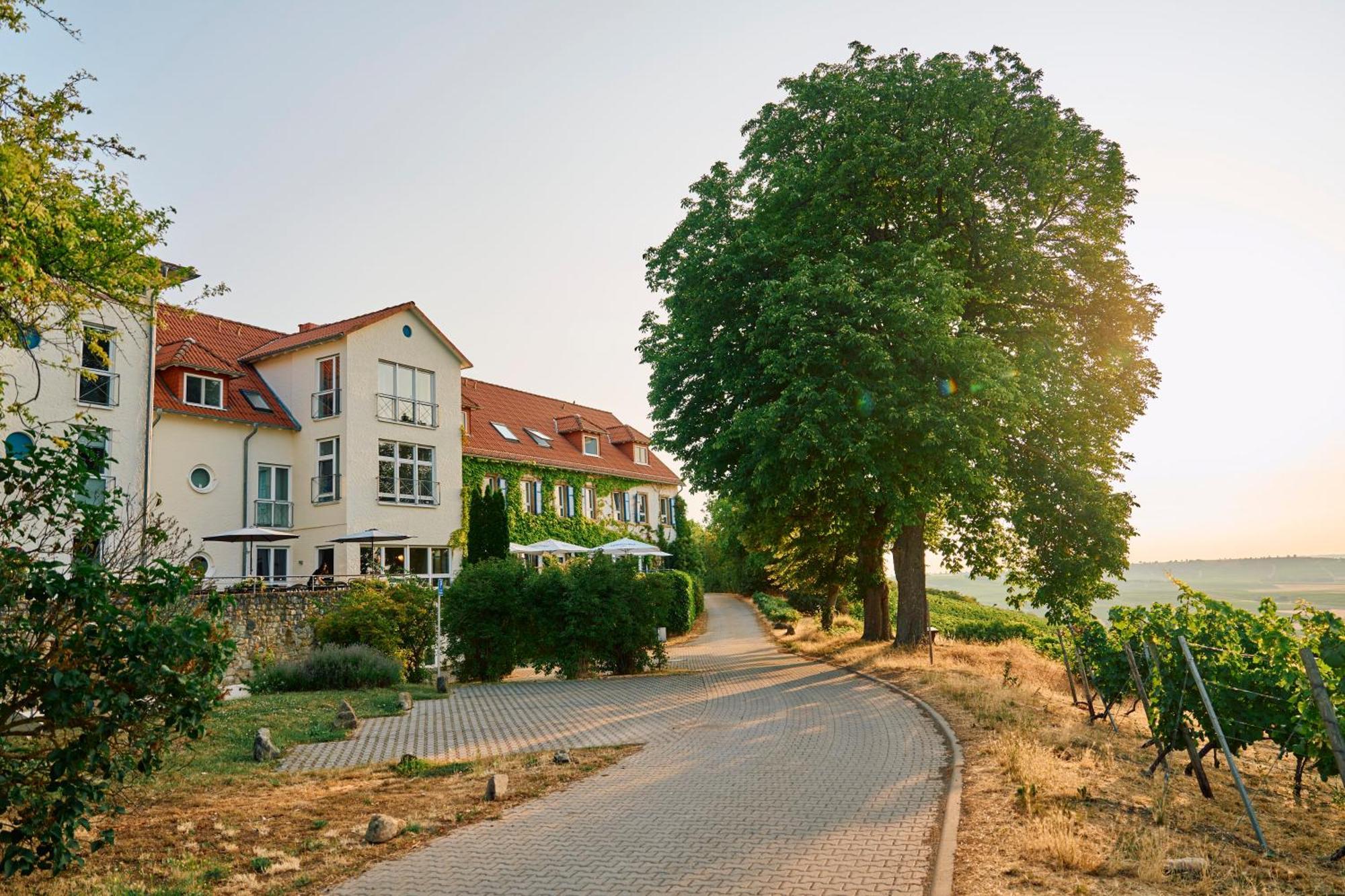 Hofgut Wissberg - Das Weinberghotel 圣约翰 外观 照片