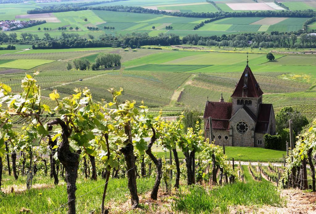 Hofgut Wissberg - Das Weinberghotel 圣约翰 外观 照片